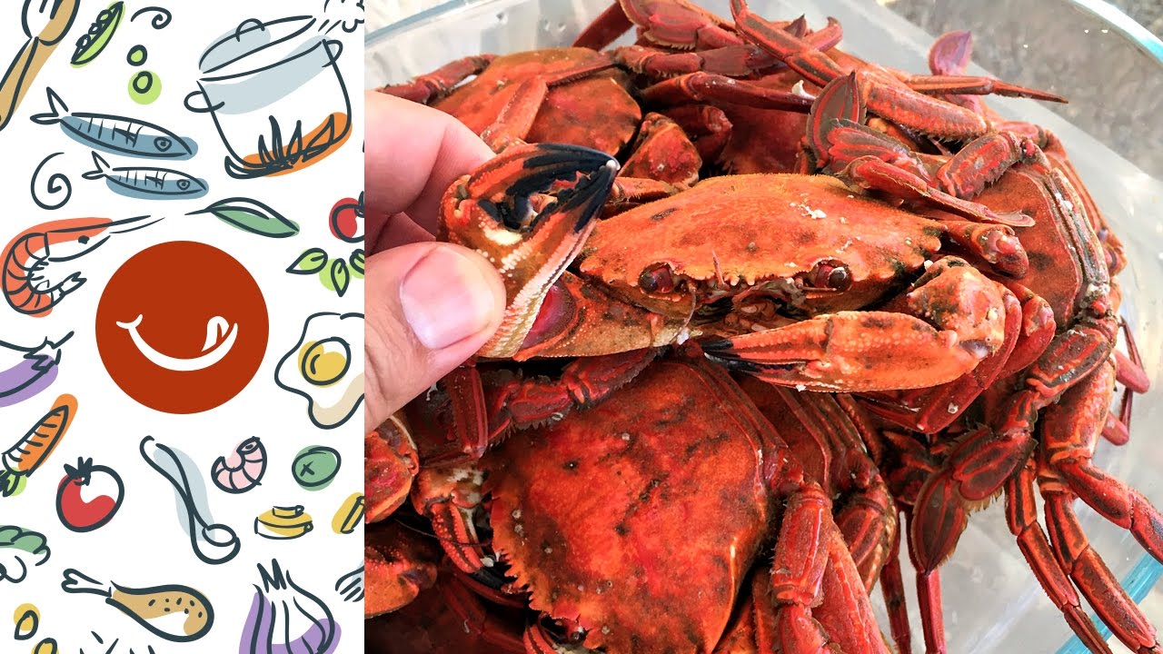 Cómo abrir y preparar nécoras. Consejos de Navidad