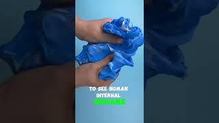 Random Facts Episode 13 — “5 Super Humans in the Real World! 💪🧬” #randomfacts #redditstories #sehar