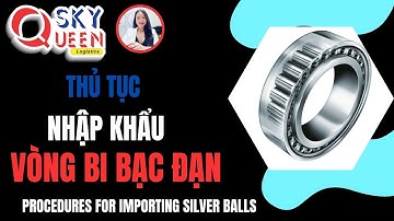 THỦ TỤC NHẬP KHẨU VÒNG BI BẠC ĐẠN | Sky Queen Logistics