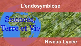 Quelle est la différence entre l'endosymbiose primaire et secondaire