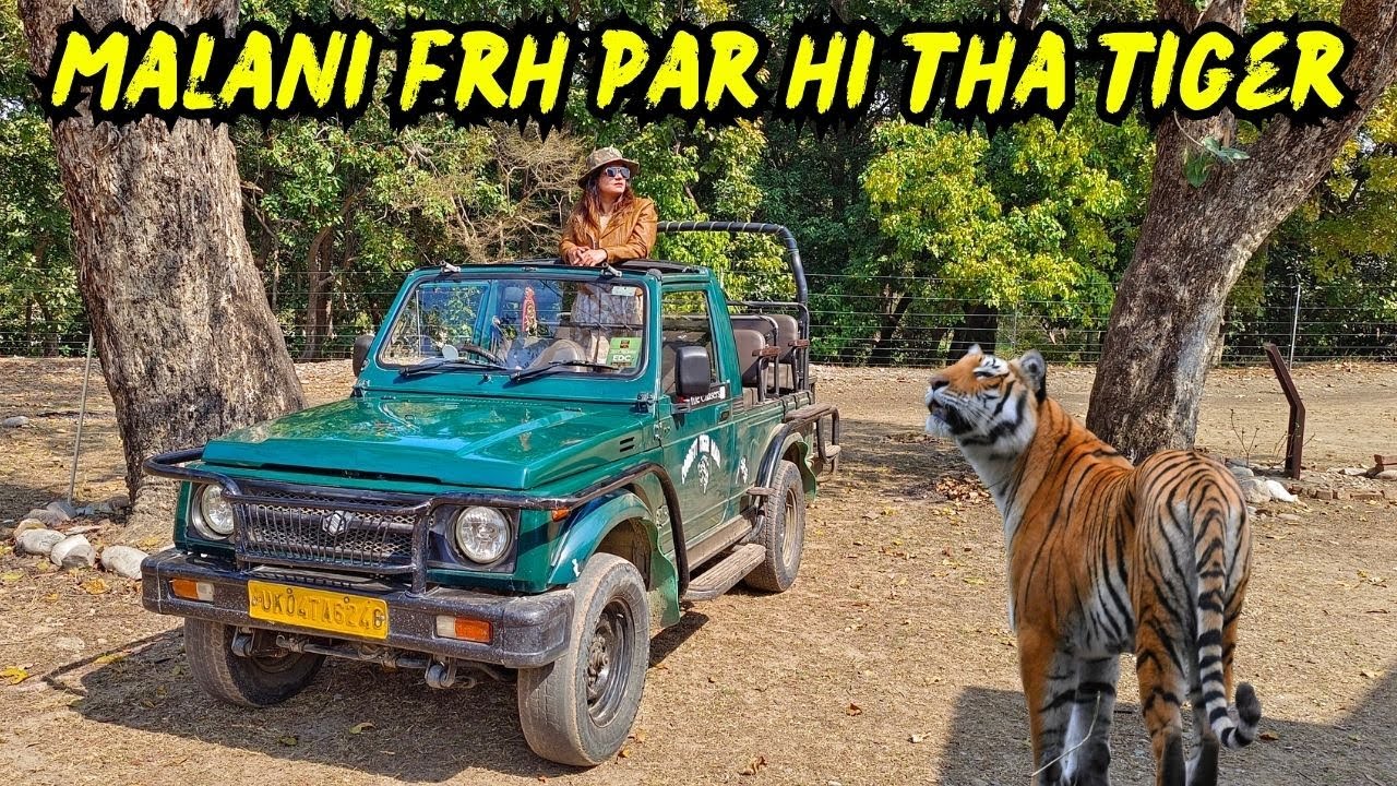 Jungle Safari ke baad Malani FRH par hi mila TIGER | Jim Corbett Best Zone | Funny Family Vlog