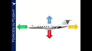 UPRT 5: Forces in Flight