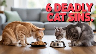CAT Owners Beware These 6 Surprising Mistakes You're Making!