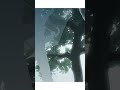 Bloom / 大田万柚子 #shorts