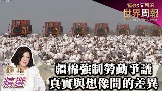 疆棉強制勞動爭議 真實與想像間的差異 TVBS文茜的世界周報-亞洲版 20220205 X 富蘭克林‧國民的基金