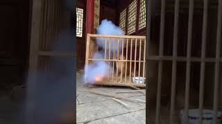 🔥Duck’s 爆竹 Prank Gone Wrong! Dog Breaks Free & Launches 复仇 Mode 🐶💥🦆#duckvsdog #火鸭#爆炸 #复仇