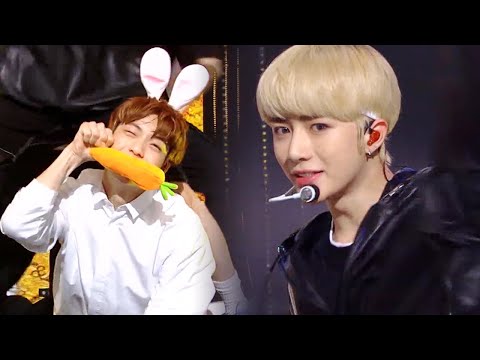 TOMORROW X TOGETHER - Cat and Dog [Music Bank Ep 978]