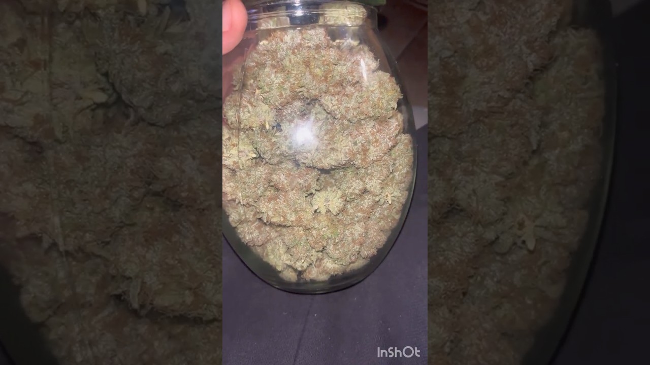 Epic Buzz Harvest time🪴🤤❤️❤️❤️  