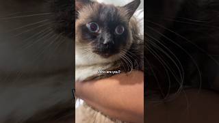 Intruder alert #cuteanimals