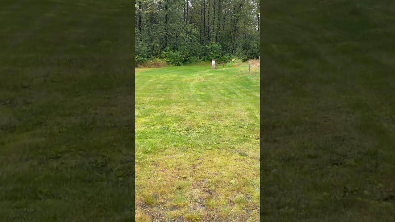 Spruce Hens Are Stupid Airgunshooter Airgun Airgunning Shooting Rifle Birds Wildlife Alaska