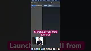 Launching SAP S/4 HANA Fiori from SAP GUI