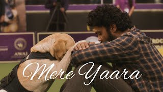 Mere Yaara (Hindi) | Full Video | 777 Charlie | Rakshit Shetty | Kiranraj K | Nobin Paul