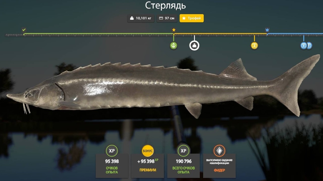 НОВЫЕ ФАРМЫ СЕРЕБРА и РАЗДАЧИ ТРОФЕЕВ! СВОДКА по ВОДОЁМАМ на 04.03 в Русской Рыбалке 4! РР4