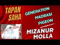 Ustad tapan saha generation madrasi kabutar  mizanur molla old bloodline female pigeon 9748414243