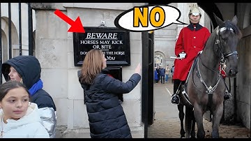 Lady!! Read The Signs!! NO!! You Can’t TOUCH the Horse. 