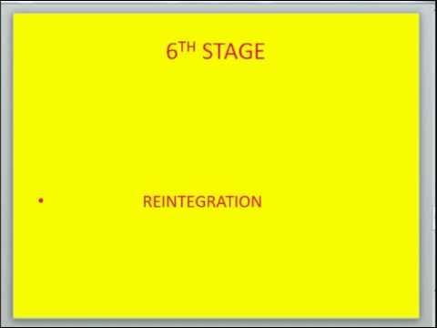 Video: Stages Of Therapy