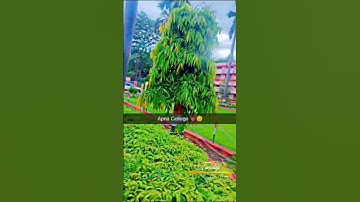 Maharana Pratap Polytechnic Gorakhpur