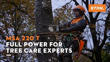 The strong battery chainsaw MSA 220 T | STIHL