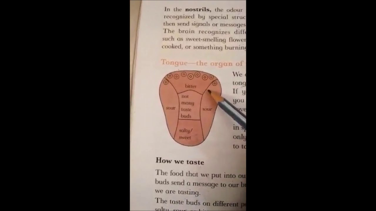Class 3: Subject General Science Lesson 1