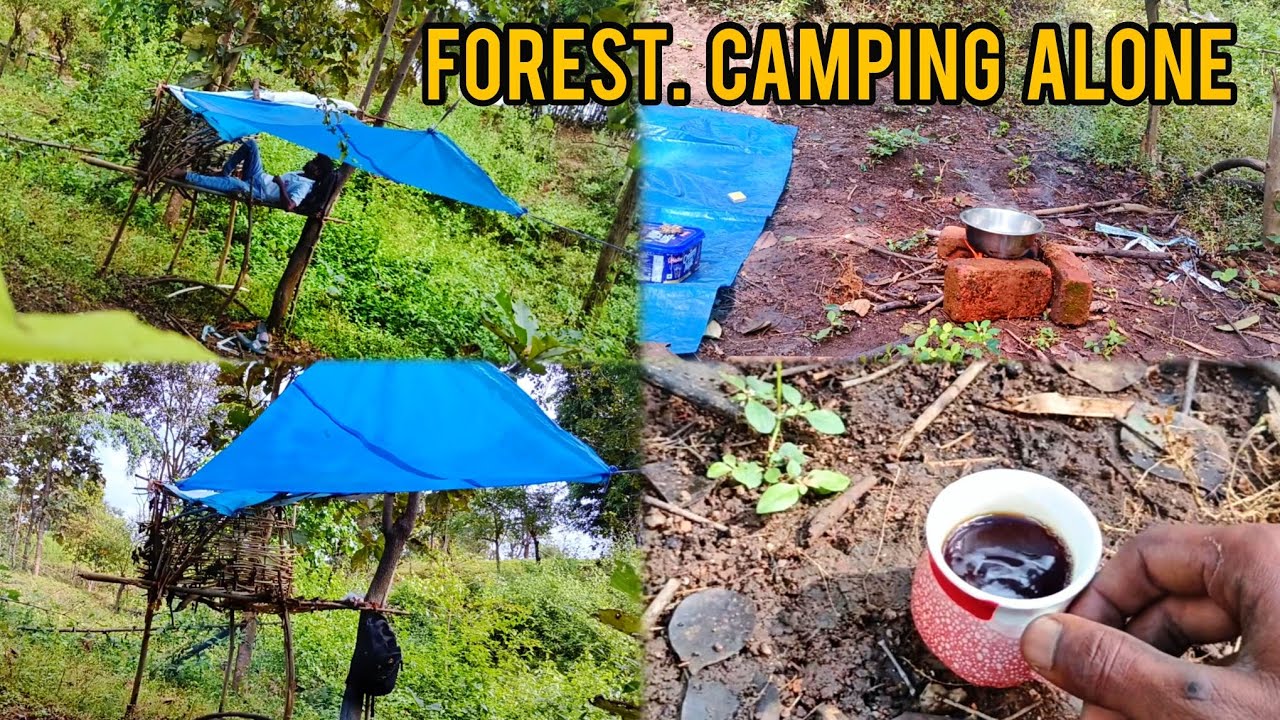 Camping videos in deep forest alone buscraft survival shelter ...