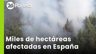 Los incendios en Galicia disparan la contaminación y ponen en riesgo la salud | #26Planeta