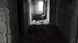 Тренинг  собаки - спасателя бигля Alias"Арчи", 2 года. Павлоград "Антарес."
