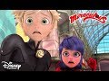 Song and Dance 🎤 | Miraculous 🐞 | Disney Channel | Disney Arabia