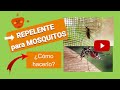 Cómo hacer un REPELENTE para MOSQUITOS 【Casero】