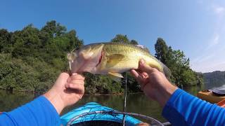 Beech Fork Lake , West Virginia. Pt:2