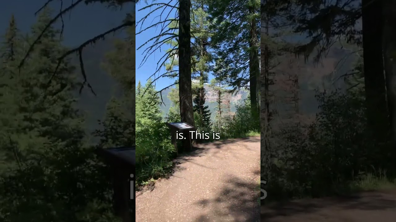 Found the spot 🪨🌲🌸