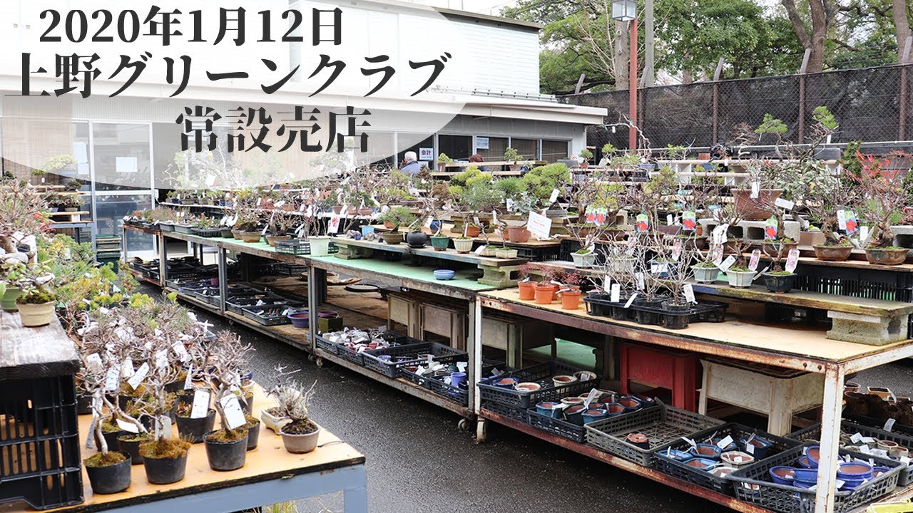 上野グリーンクラブ常設売店(2020年1月12日) - Ueno Green Club Stand 
