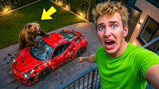 WILD ANIMALS are DESTROYING all my SUPERCARS...