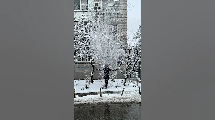 Делал так? 🤪 #россия #краснодар #красота #снег #зима #youtubeshorts #shorts #short #shortvideo ☃️