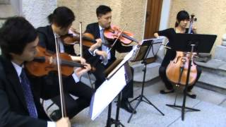 Humoresquestring Quartet Johns Cathedral
