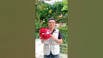 Nồi cơm điện mini Hàn Quốc dễ thương giá rẻ, chống dính ngon cơm #noicomdien #noicom