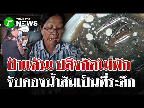 Auntie in Bang Nam Priao submerged for nearly a month, bitten by dozens of leeches—caught and pic...