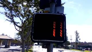 ICC Pedestrian Signal with Countdown Timer