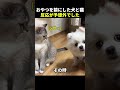 おやつを前にした犬と猫、まさかの反応