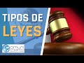 TIPOS DE LEYES