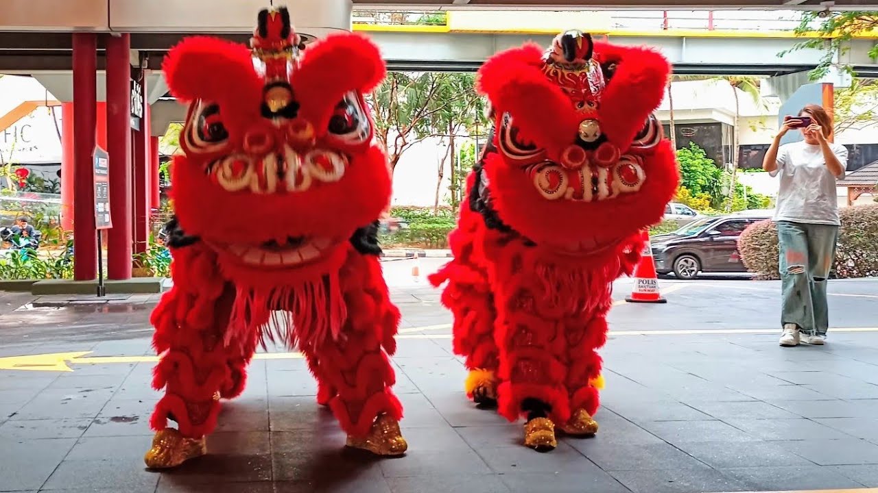 Танец льва — Нанеси удар львиной мощью. 🦁⚡