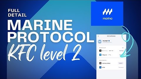 Marina Protocol KYC 2 Sybil Detection Problem Solved | Marina Protocol KYC Phase 2