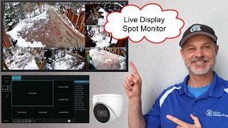 CCTV Spot Monitor Setup for Viewtron Hybrid Security DVRs and IP Camera NVRs screenshot 5