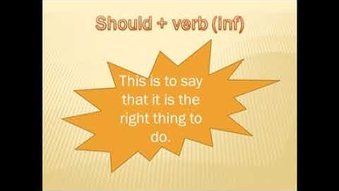 Primary 3  unit 3 connect plus