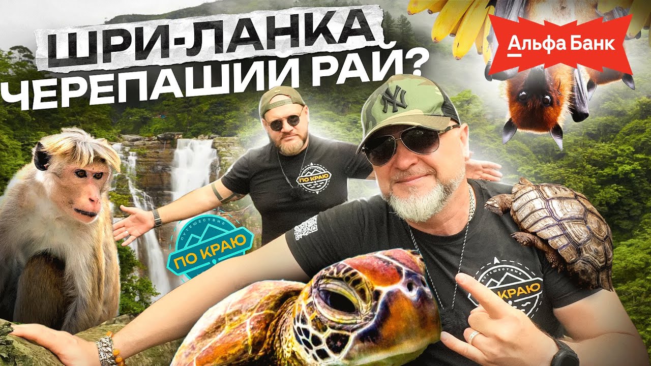 Шри-Ланка. Черепаший рай