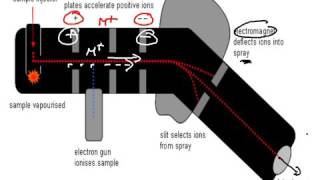 Lecture 4. Mass Spectrometry: Theory, Instrumentation, and Techniques