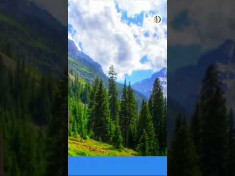 Scrolling Pictures Effect