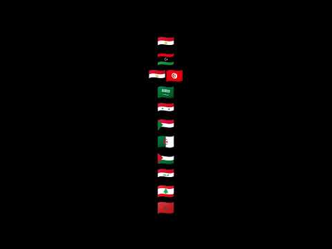 هنا مصر ام الدنيا وليبيا تعشقها في ثانية