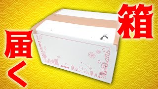 【バトスピ】ドデカいバトスピカード詰め合わせセットが届きました…
