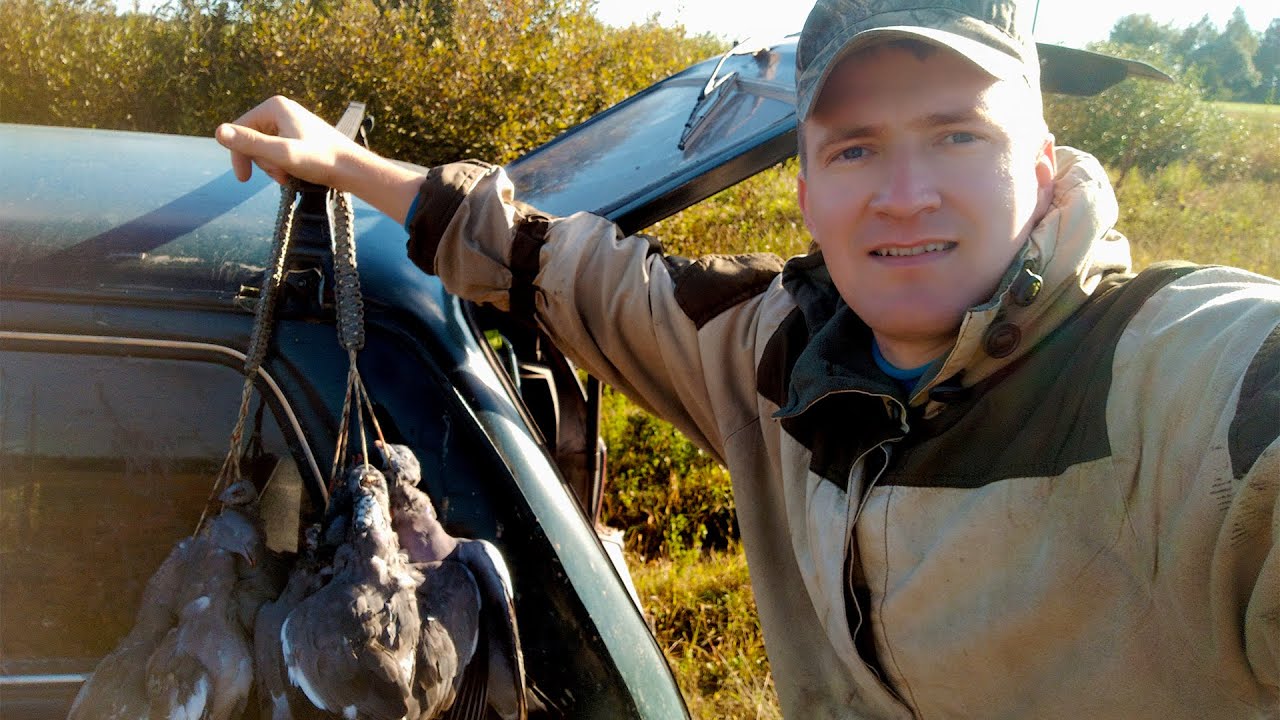 ОХОТА НА ВЯХИРЯ. СМЕНИЛ ПОЗИЦИЮ И НАСТРЕЛЯЛ ИХ ЗА ПОЛ ЧАСА НА ЗАПАХАННОМ ПОЛЕ