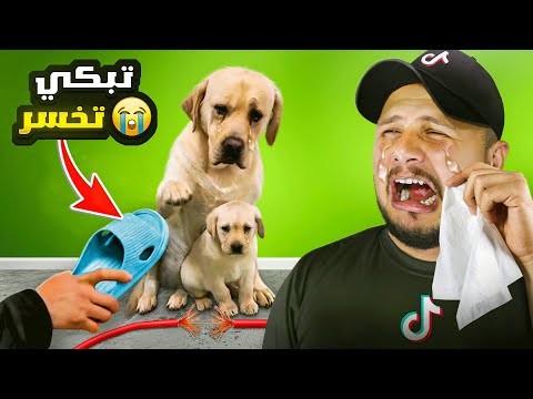 تبكي تخسر 3 لي قلبو هشيش بلا مايتفرج